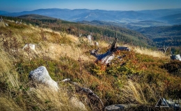 IMG_20171001_152357_HDR