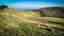 IMG_20171001_153819_HDR