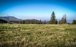 IMG_20171001_153843_HDR