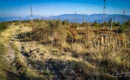 IMG_20171001_160224_HDR