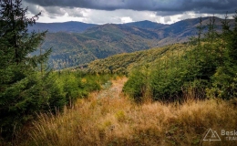 IMG_20171007_151100_HDR