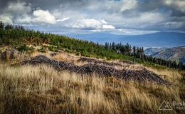 IMG_20171007_154747_HDR