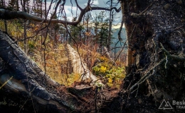 IMG_20171007_161347_HDR