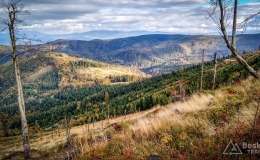 IMG_20171007_161447_HDR
