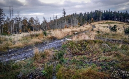 IMG_20171007_162735_HDR