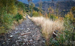 IMG_20171007_163152_HDR