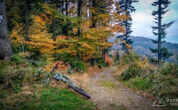 IMG_20171014_151056_HDR
