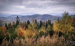 IMG_20171014_151301_HDR