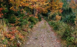 IMG_20171014_151309_HDR