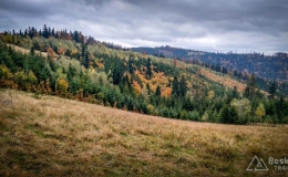 IMG_20171014_152942_HDR