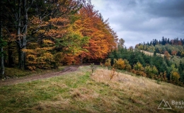 IMG_20171014_152956_HDR