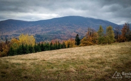 IMG_20171014_153310_HDR