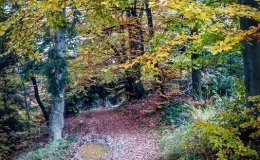 IMG_20171014_154217_HDR