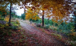 IMG_20171014_154229_HDR