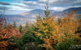 IMG_20171014_164227_HDR