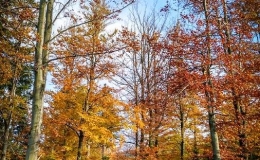 IMG_20171014_164405_HDR