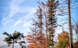 IMG_20171014_165834_HDR