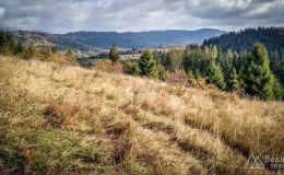 IMG_20171015_105134_HDR