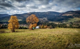 IMG_20171015_105542_HDR