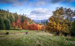 IMG_20171015_113223_HDR