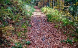 IMG_20171015_115110_HDR