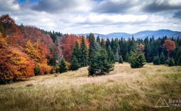 IMG_20171015_120408_HDR