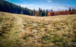 IMG_20171015_124047_HDR