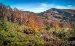 IMG_20171015_125315_HDR