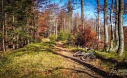 IMG_20171015_125358_HDR