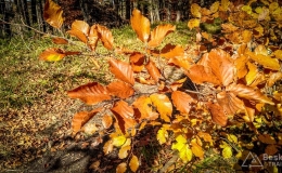 IMG_20171015_125451_HDR
