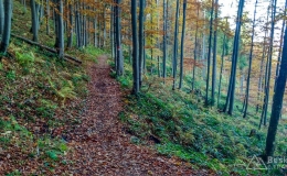 IMG_20171015_140144_HDR