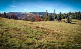 IMG_20171015_140508_HDR