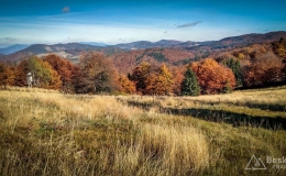 IMG_20171015_142809_HDR