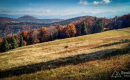 IMG_20171015_143620_HDR