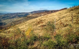 IMG_20171015_151709_HDR