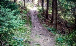 IMG_20171015_152621_HDR