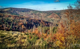 IMG_20171015_152842_HDR