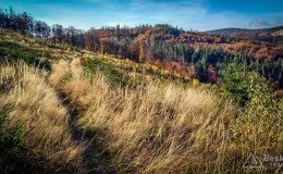 IMG_20171015_152916_HDR
