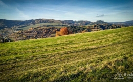 IMG_20171015_162542_HDR