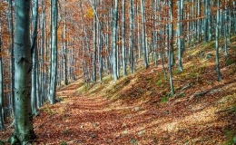 IMG_20171018_105551_HDR