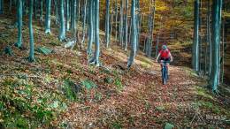 IMG_20171018_105557_HDR