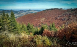 IMG_20171018_113037_HDR