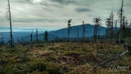 IMG_20171018_124035_HDR