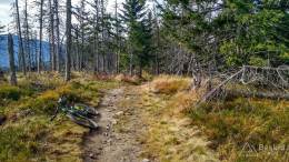 IMG_20171018_124100_HDR