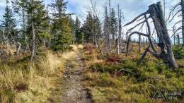 IMG_20171018_124111_HDR