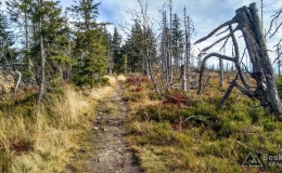 IMG_20171018_124111_HDR