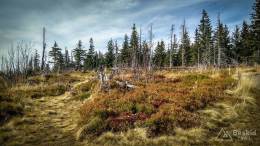 IMG_20171018_124707_HDR