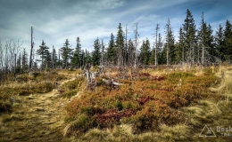 IMG_20171018_124707_HDR