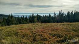 IMG_20171018_131055_HDR