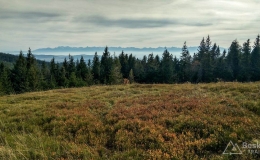 IMG_20171018_131055_HDR